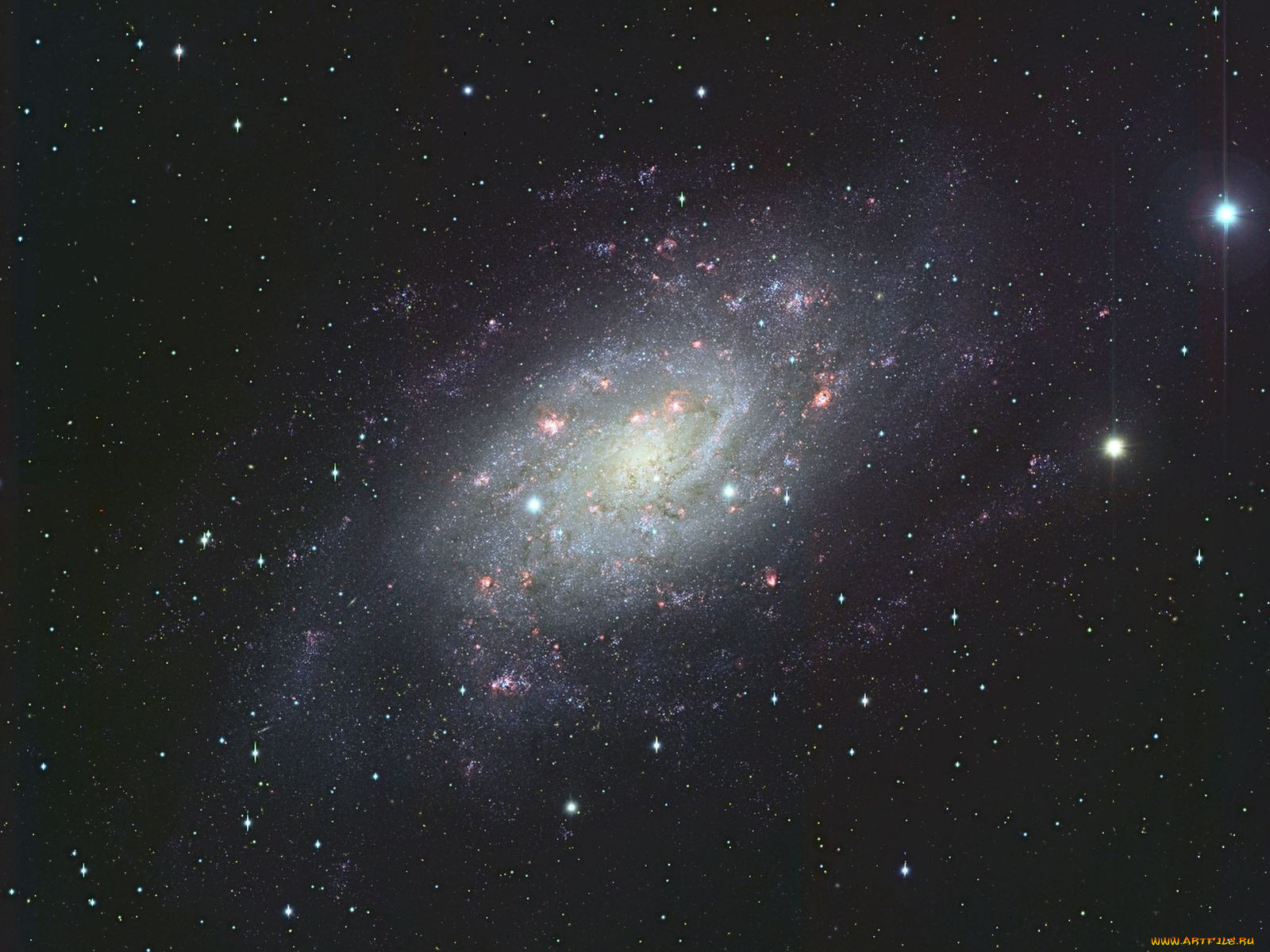 , , ngc, 2403, , , 